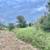 TBD FM 1696 ~ Land for Sale in Iola, TX 17 thumbnail