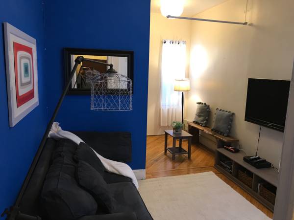 $3,000 / 1br - 695ft2 - Amazing 1BR sublet available November 15th!! (Fort Greene)64212933950595120