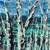 Original Artwork: Aspens 1 thumbnail