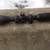 BSA Essential Rifle Scope 1 thumbnail