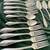 ** Pfaltzgraff  Beaded 18/0 Stainless Steel Flatware ** 9 thumbnail