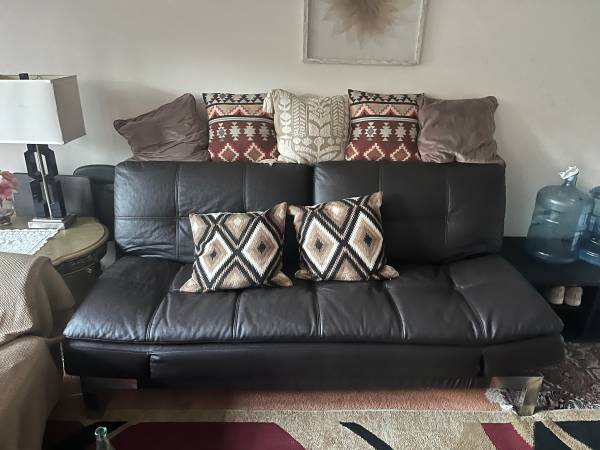 Convertible Couch 1