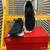New Balance Fresh Foam X 1080 Running Shoe 4 thumbnail