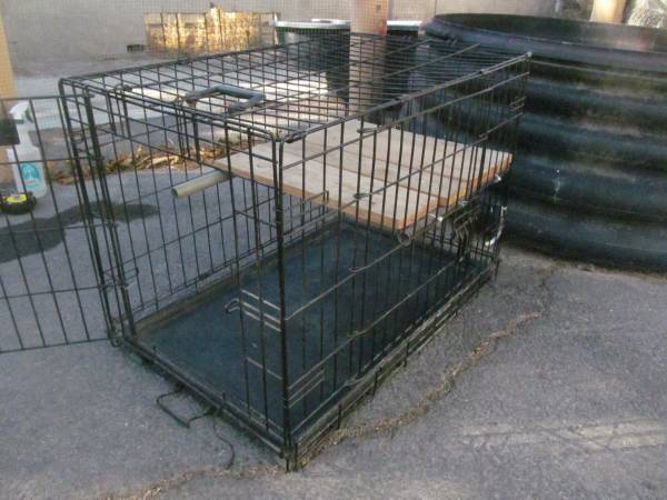 Medium folding dog crate- 2doors.63860185059587124