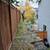 calmoperez yard work landscape 21 thumbnail