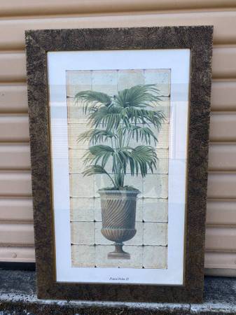 Framed Vintage Print Potted Palm 1