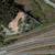 47,000+ Sq.Ft. Large Development Site in View Royal 11 thumbnail