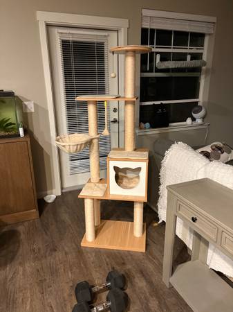 Cat tree 1