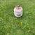 PROPANE TANK GRILL SIZE, FULL 2 thumbnail