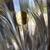 Large Leaded Crystal Vase, Made in France 6 thumbnail