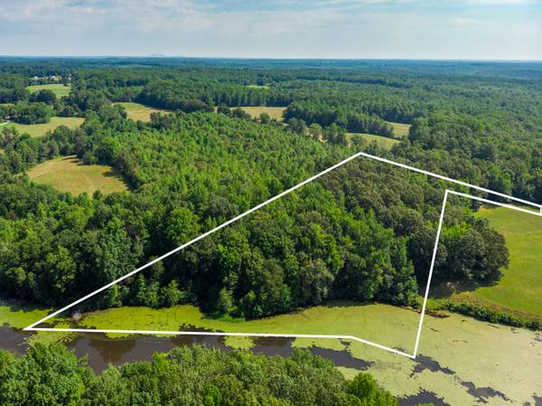 $137,900 / 435600ft2 - Rural Waterfront Acreage in Pamplin - Last Large Lot Here! (Pamplin, VA)63851969653379121
