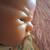 Haunted Unique Collectible Infant Doll 5 thumbnail