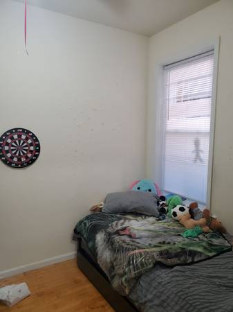 $1,800 / 2br - 850ft2 - UKRAINIAN VILLAGE TWO BR REHAB, IN UNIT LAUNDRY, ON QUIET LEAFY BLOCK! (Wicker Park)63781655045123121