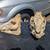 2 PIG SKULLS 2 thumbnail