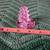 Swarovski Crystal Christmas Tree 5 thumbnail