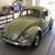 1955 VW bug 1 thumbnail
