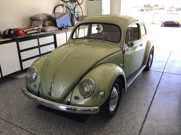 1955 VW bug 1