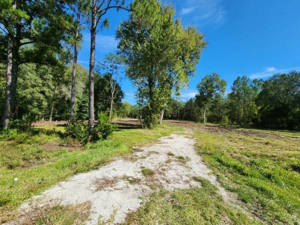 $1,950 4 Acres For Lease In Lawtey - $1950/month (20715 US 301 N, Lawtey)64151001746691121