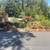 TREE &STUMP GRINDING &STUMP REMOVAL SERVICE 14 thumbnail