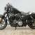 2021 Harley Davidson Sportster Iron 883 Only 249 Miles! 4 thumbnail