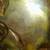 Copper wall plaque 2 thumbnail