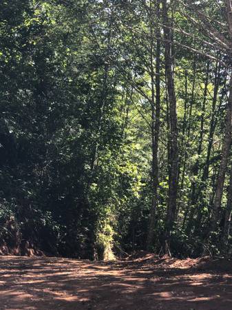 $200,000 4 acres to trade 40 miles south of the Oregon border (Silver City)63867374008963123