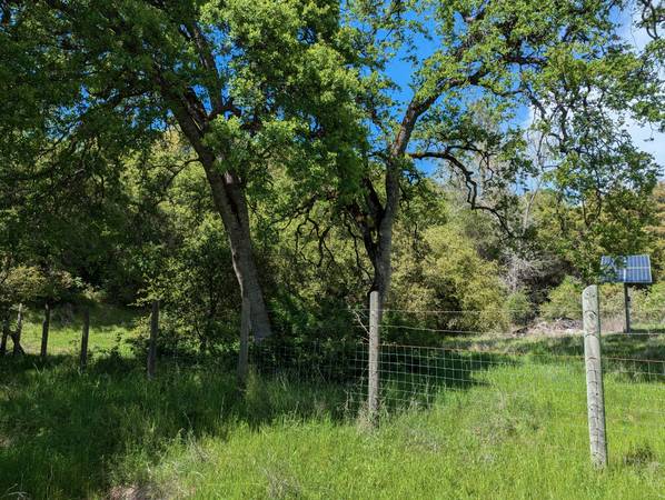 $149,000 10 Acres, Well with Pump, Scenic Natural Area (Penn Valkey)63952102911747123