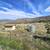 Remarkable 5 acre lot with panoramic mountain views 9 thumbnail