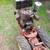 Ariens tiller 6 thumbnail