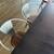 AUCTION 4 Rectangular Tables 48" (each) x 30" x 30"H w/ 2 Bench Seats 7 thumbnail
