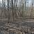 12.4 wooded acres with cleared camp/build site-Owner Financing Availab 2 thumbnail