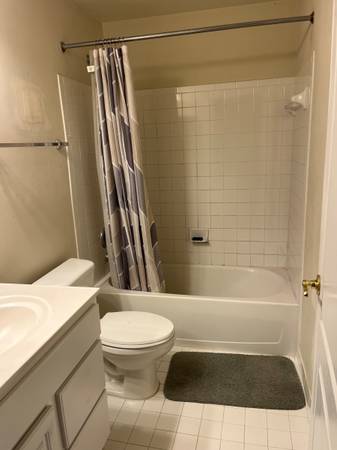 $800 / 1br - fairfax($800) - walkout basement(included utilities, internet)64040363321985122