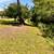 Ready! Set! Land for Sale! Must see mostly fenced in corner lot! Hurry! 6 thumbnail