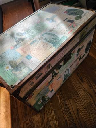Sturdy storage trunk 1