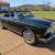 1980 Rolls Royce Corniche Convertible 2 thumbnail