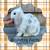Bunnies Available - Mini Plush Lop 1 thumbnail