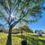 TREE SERVICE, TREE REMOVAL,TRIMMING, PRUNING, TREE CUTS AND MORE LICENSED AND IN 10 thumbnail