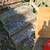 Inner Harbor Masonry and Handy Man Service 6 thumbnail