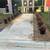 SL landscaping & Tree service 9 thumbnail