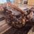 Manzanita Burl Coffee Table with Custom Glass top - 60"X 36" 2 thumbnail