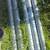 3” id 3 1/2”od schedule 40 galvanized pipe 2 thumbnail