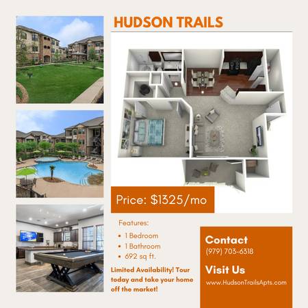 $1,325 / 1hab - 692ft2 - ¡Mudate a este acogedor apartamento de 1 habitación por una ganga! (Bryan)63884888077571120