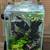 Aquarium 11.6 gallon rimless 3 thumbnail