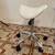 Adjustable Saddle Stool with Wheels – White 1 thumbnail
