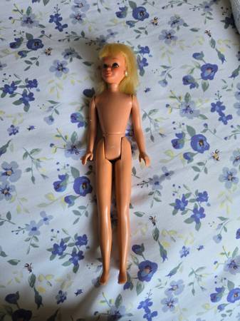 Skipper doll,  1976-1979 Party Time 1