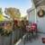 ✨ Holiday Magic + A New Home = 1 Month FREE at Arbor Ridge 6 thumbnail