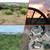 5 acres - On the same property - live & operate your business 5 thumbnail