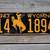 Wyoming License Plates 2 thumbnail