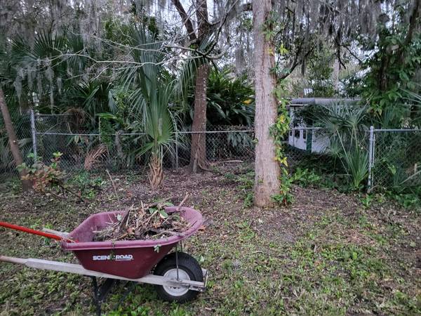 yard frost cleanup 1