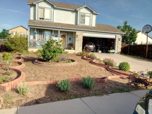 $700.00 / 1br - 110ft2 - Woodmen Hills, Falcon, CO63658247060099121